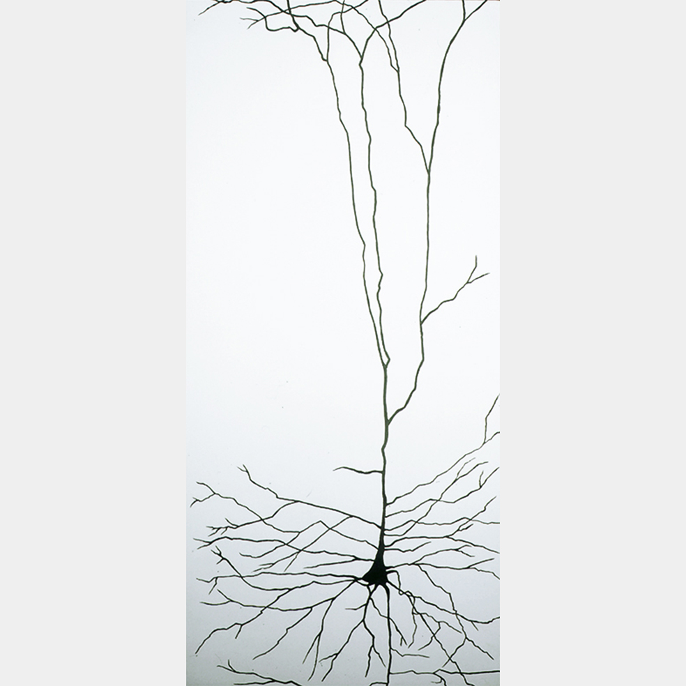 Neurone solitaire