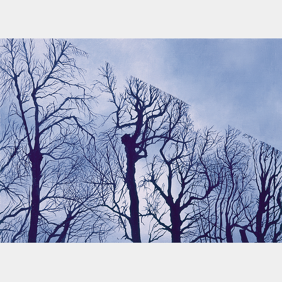 Nature viennoise